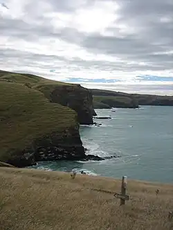 Banks Peninsula Track between Pōhatu / Flea Bay and Stony Bay