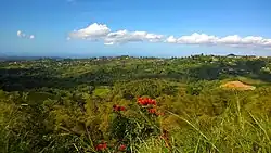 Looking north from PR-805 in Palos Blancos barrio