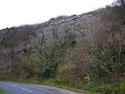 Barrow Scout, Warton Crag