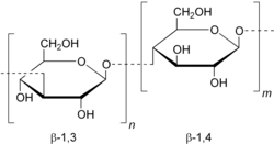 Molecular Structure of Beta-Glucan