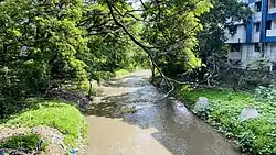 A picture of a muddy creek in Fatimanagar, Pune.