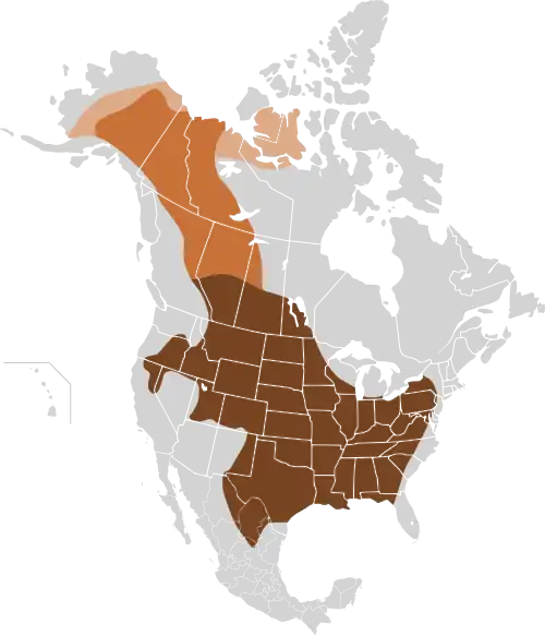 Original distribution of plains bison and wood bison in North America along the "great bison belt". Holocene bison (Bison occidentalis) is an earlier species at the origin of plains bison and wood bison.   Holocene bison   Wood bison   Plains bison