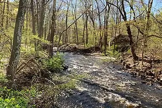 The Black River in the Black River County Park, with the trail on the left