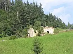 Ruins of the reformed church