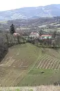 Bogatić - Panorama