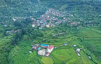 Bungtang (Captured July 2024 )