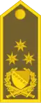 General pukovnik (Bosnian Ground Forces)[9]