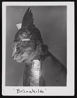 A black-and-white profile photograph of a cat wearing miniature scale armor and a winged helmet. The photograph is labeled with the name "Brünnhilde".