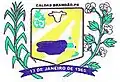 Official seal of Caldas Brandão
