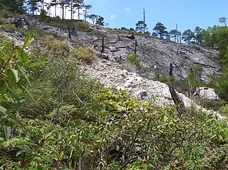 Bum-bag Fumarole Field #3