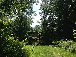 A view of Eberbach Castle as you come to it from Eberbach.