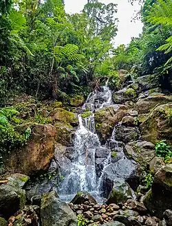 Busay Falls