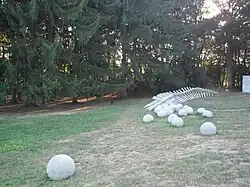 Butterfly Effect Movement 6