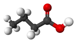 Space filling model of butyric acid