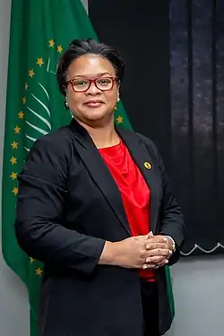 CEO, APRM Continental Secretariat