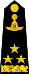 Lieutenant General