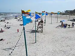 Blue, red, and yellow flags raised on poles are lined up in the sand on a beach. The flags are connected with light strings. The ocean and people are visible beneath the flags in the background.