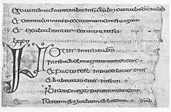 Initial in the Cathach of St. Columba