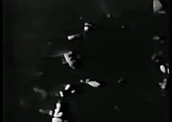 A gay man's partially obscured face is seen throughout the leaves of a large potted palm tree