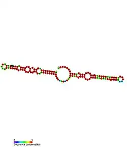 ceN93: Secondary structure taken from the Rfam database. Family RF01663