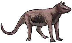 Drawing of the mammal Cebochoerus lacustris