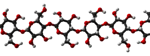 Three-dimensional structure of cellulose