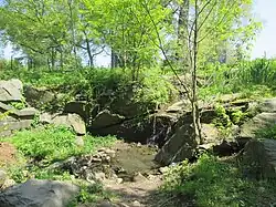 Man-made spring that feeds water into Harlem Meer from the North Meadow drainage system (2019).