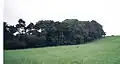 The woods above the River Annick as viewed from East Lambroughton.