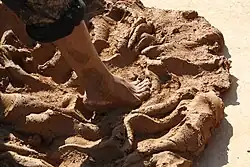 an image showing the reaction of clay in the presence of water