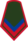 Cabo primero (Colombian National Army)[11]