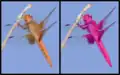 "Color swapping" (of a skimmer dragonfly) using the Colors filter. The original is the one on the left.