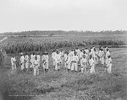 Image 21Juvenile African-American convicts working in the fields in a chain gang, photo taken c. 1903 (from Civil rights movement (1896–1954))