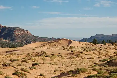 Part of the field of sand dunes.
