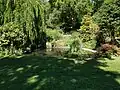 Pond in the gardens