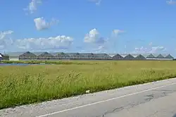 Greenhouses on U.S. Route 40, west of St. Elmo