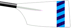 Image showing the rowing club's blade colours