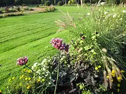 Bloom garden on the island I.