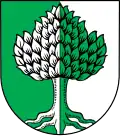 Coat of arms of Holzheim