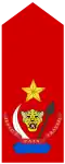 Général de brigade (Land Forces of the DR Congo)