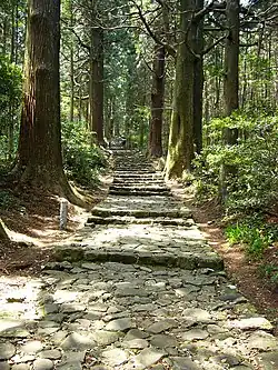 Daimonzaka (Kumano Kodō)