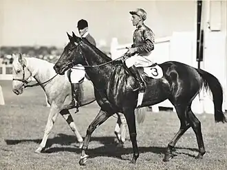 Delta, 1949 winner