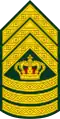 Chefsergent (Royal Danish Army)[8]
