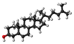 Ball-and-stick model of the desmosterol molecule