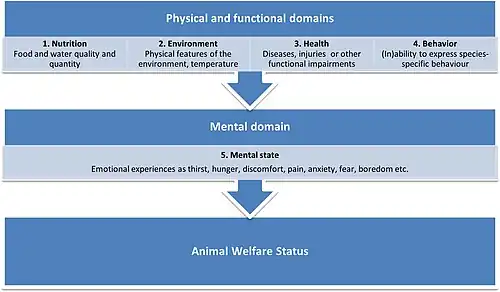 The image takes the form of a flowchart diagram. The first segment is titled Physical and Functional Domains and has four boxes below it, labelled 1. Nutrition, food and water quality and quantity. 2. Environment, physical features of the environment, temperature. 3. Health. Diseases, injuries, or other functional imparements. 4. Behaviour. (In)ability to express species specific behaviour. Under these boxes, an arrow points to the next segment, which is labelled Mental Domain and contains only one box, labelled 5. Mental State. Emotional experiences as thirst, hunger, discomfort, pain, anxiety, fear, boredom, etc. Below this an arrow points to a large box containing the text Animal Welfare Status