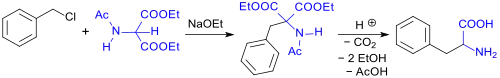 synthesis of rac-phenylalanine