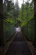 A suspension footbridge on Buntzen Lake Trail