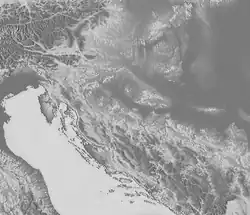 Cirsium greimleri is located in Dinaric and Eastern Alps