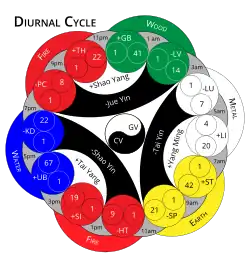 Chinese Five Elements Diurnal Cycle