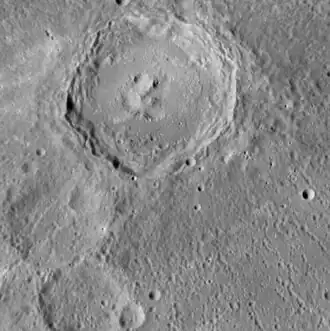 Slightly oblique view