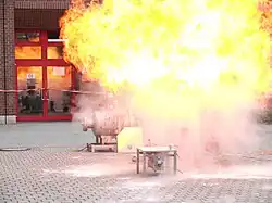 Intense radiant heat has nothing to ignite here